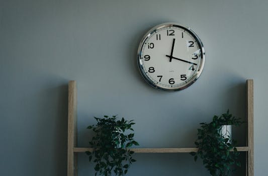 A minimalist wall clock above a wooden shelf adorned with lush greenery, creating a serene indoor setting.