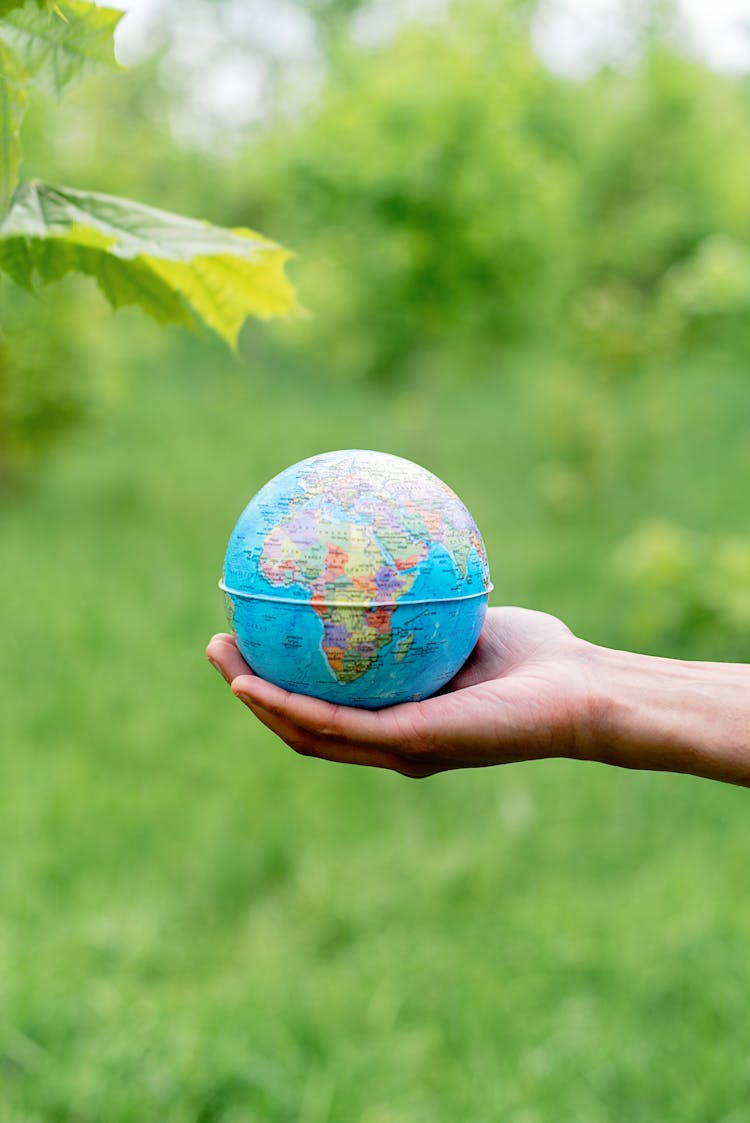 A Person Holding The Globe