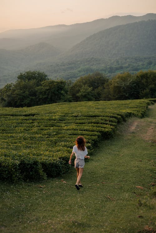 A Woman in White Shirt Walking on Green Grass Field
