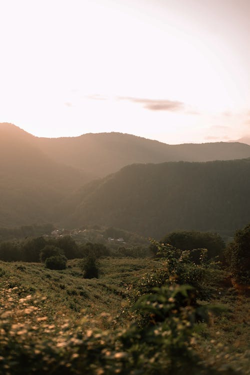 Základová fotografie zdarma na téma hora, hřiště, krajina