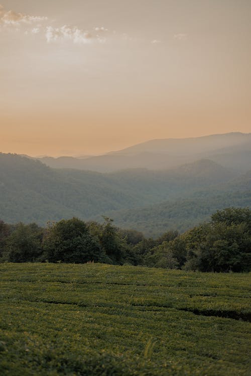 Green Grass Field Near Green Mountains