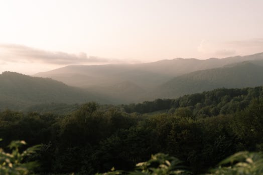 A tranquil view of green mountains and forest under a pastel sky at sunrise.