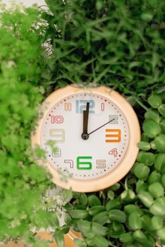 Vibrant wall clock amidst lush green plants, highlighting time and nature's harmony.