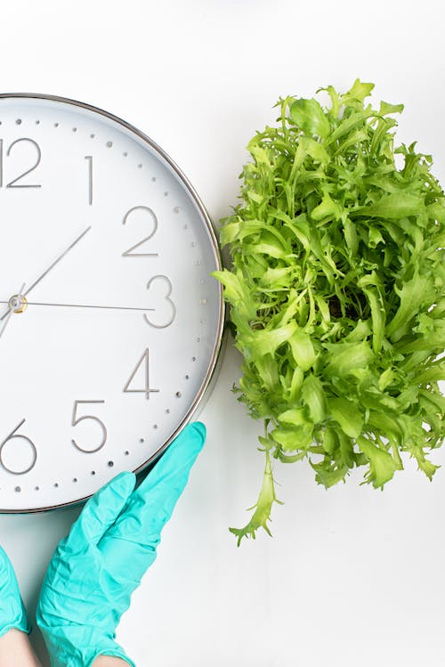 Free Green Plant Beside A Wall Clock Stock Photo