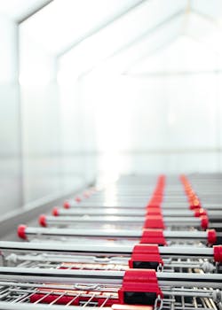 Free stock photo of mall, shopping carts, shopping trolleys