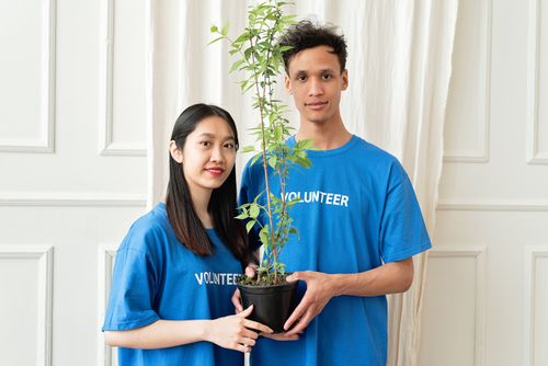 Free Two young volunteers holding a potted plant, promoting teamwork and environmental awareness. Stock Photo