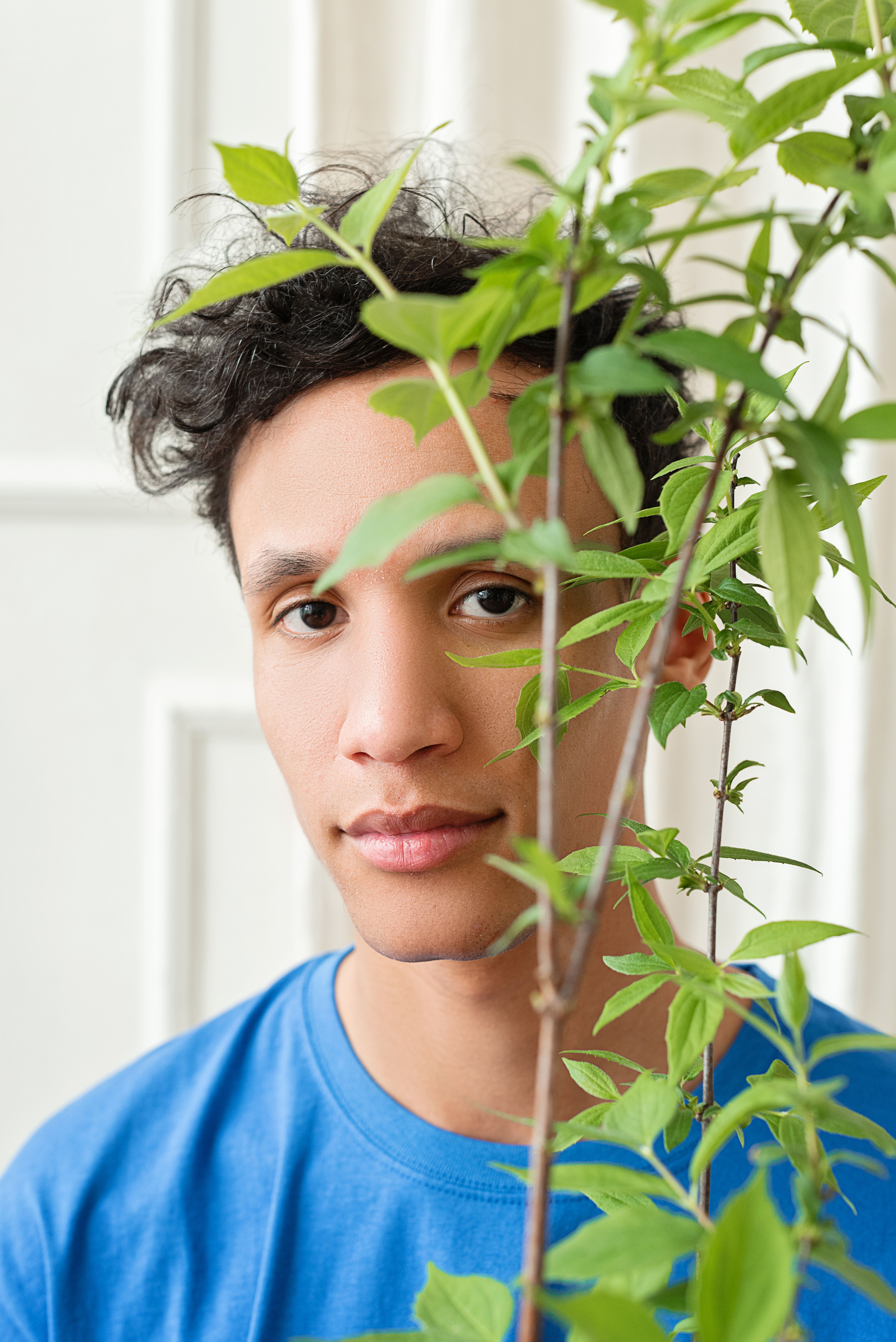 A young man in a blue shirt partially obscured by green leaves indoors.