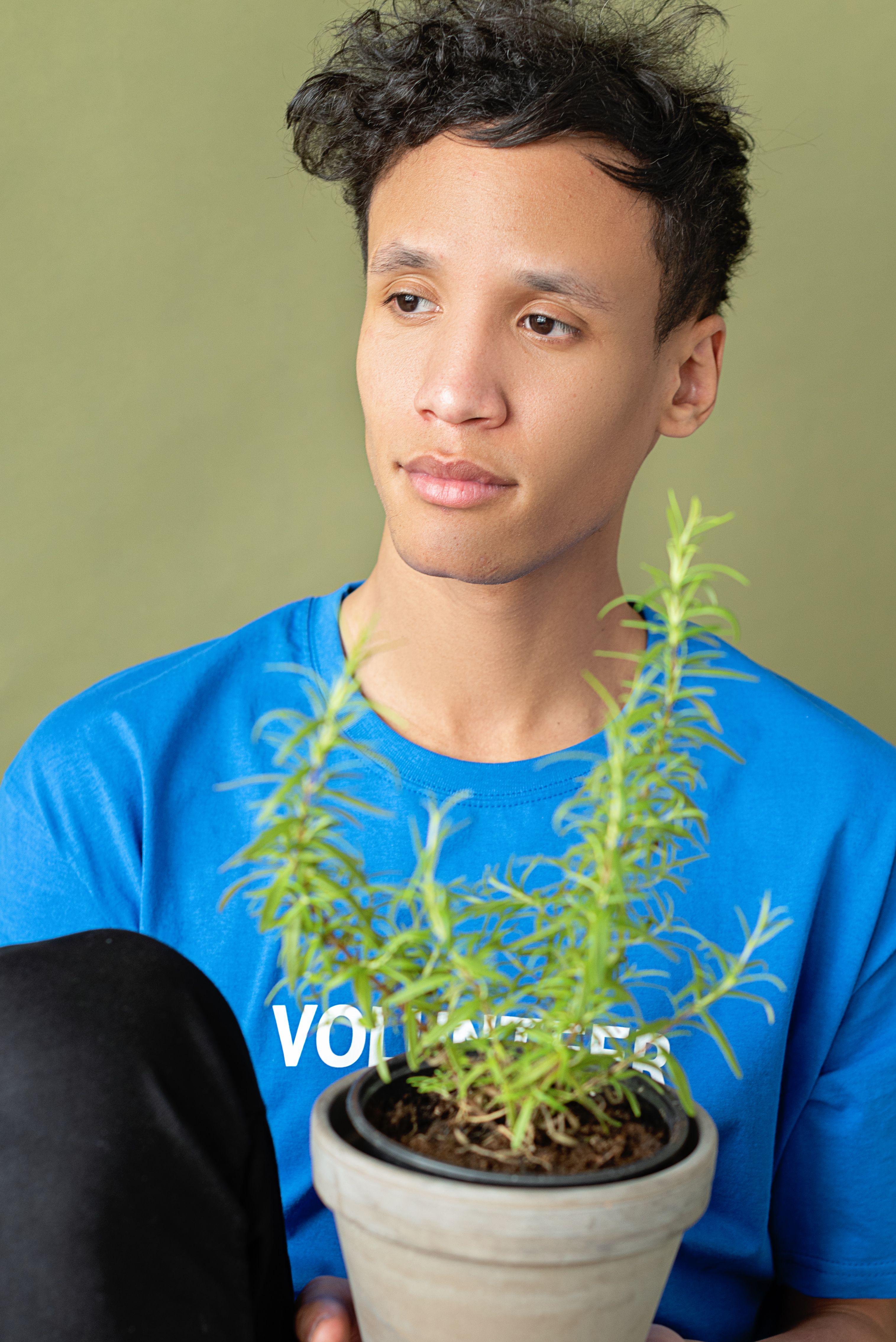 Young man in blue shirt holds a potted rosemary plant against green background indoors.