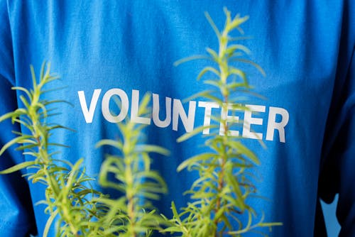 A Person Wearing a Volunteer Shirt Holding a Plant