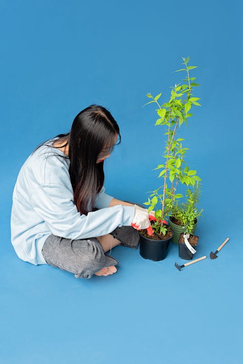 Free A Woman Sitting on the Floor while Holding a Potted Plant Stock Photo