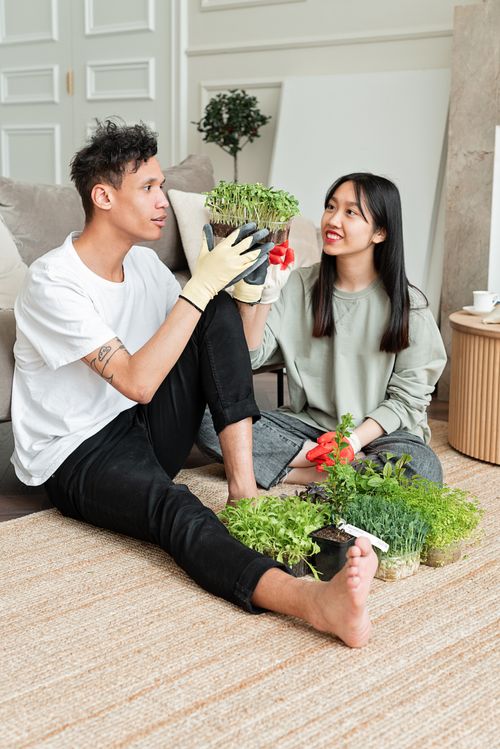 Free A couple sitting indoors nurturing potted plants, embracing eco-friendly living. Stock Photo