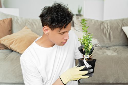 Free A young adult man wearing gloves attentively observes a potted plant in a cozy indoor setting. Stock Photo