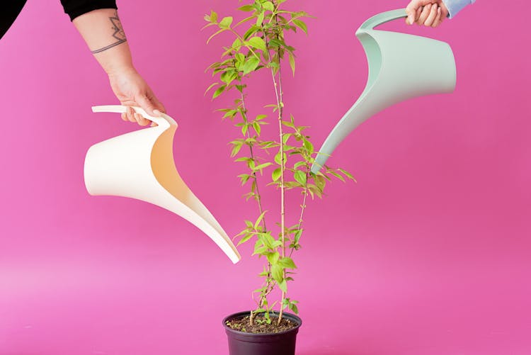 People Holding Long Spout Plastic Watering Cans