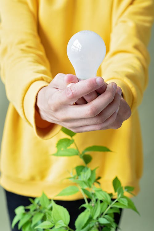 Free Person Holding A Lightbulb Stock Photo