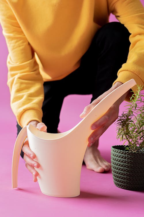 Free A Person Wearing a Yellow Sweater Holding a Watering Can Stock Photo