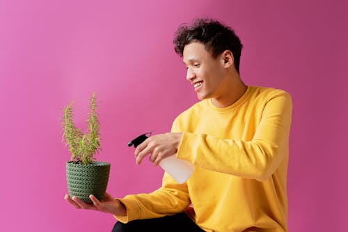 A Man in Yellow Sweater Smiling while Spraying a Plant