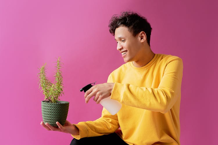 A Man In Yellow Sweater Smiling While Spraying A Plant