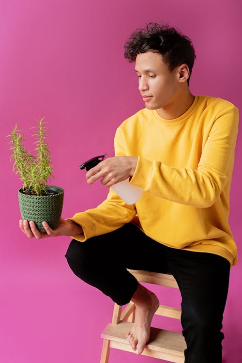 A Man in Yellow Sweater and Black Pants Sitting while Holding a Plant and a Spray Bottle