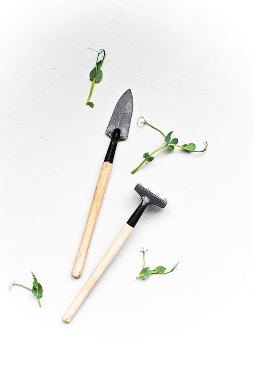 Garden Tools and Green Leaves on a White Surface