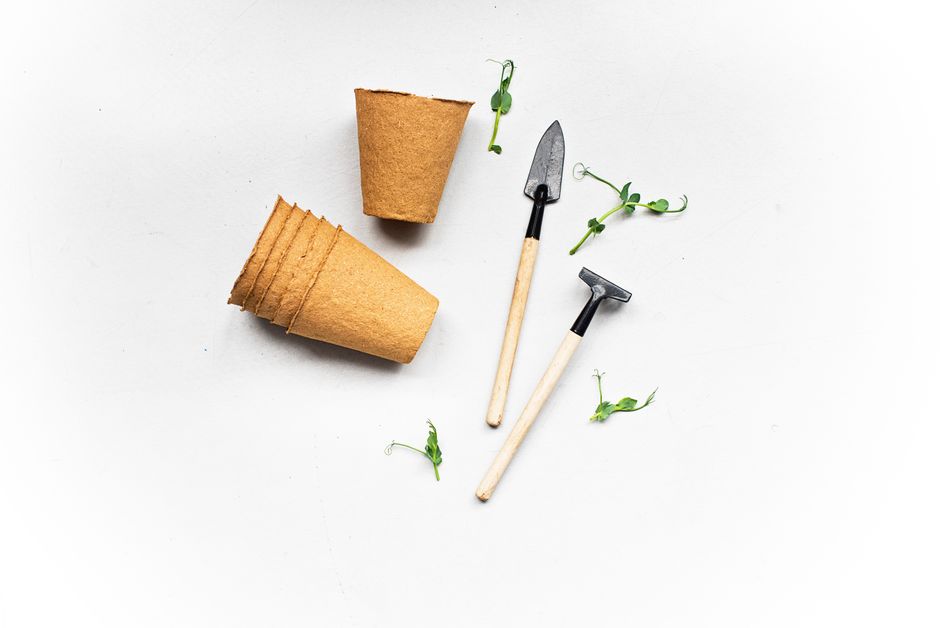 Essential supplies for a home microgreen setup - diy microgreen kit Essential supplies for a home microgreen setup - diy microgreen kit