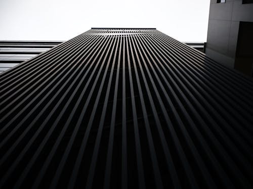 Low-Angle Shot of a Modern Building