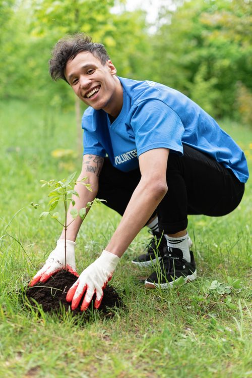 Free A smiling volunteer plants a young tree outdoors, wearing gloves, in a spring garden. Stock Photo