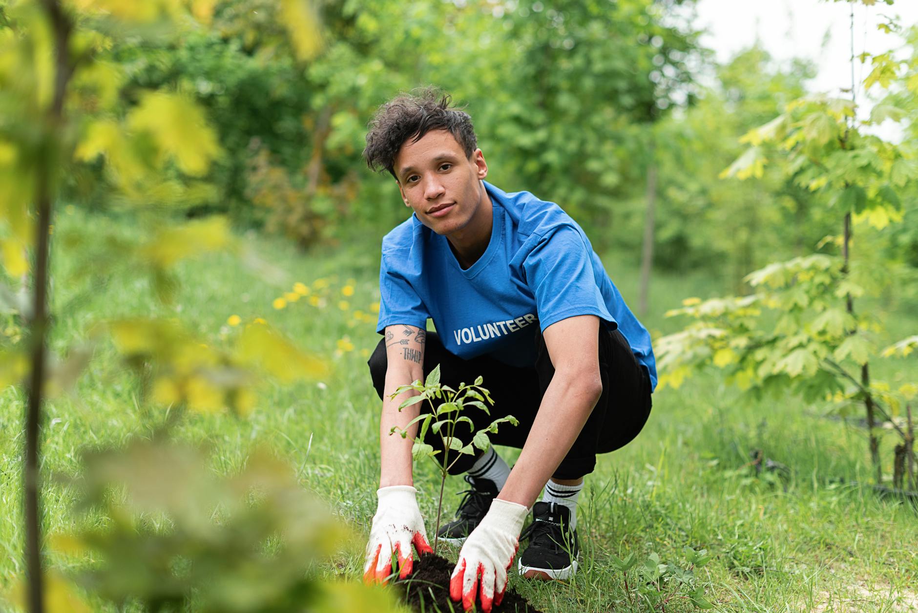 A dedicated volunteer planting a tree sapling in a lush green park environment. A dedicated volunteer planting a tree sapling in a lush green park environment.