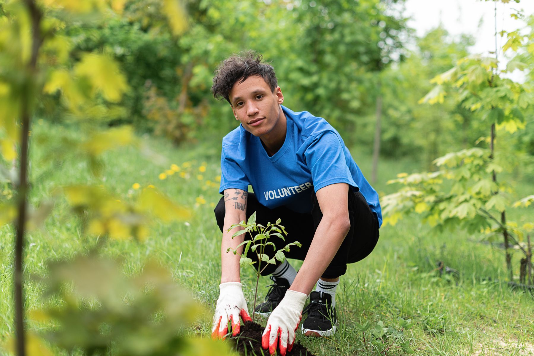Volunteer planting a tree