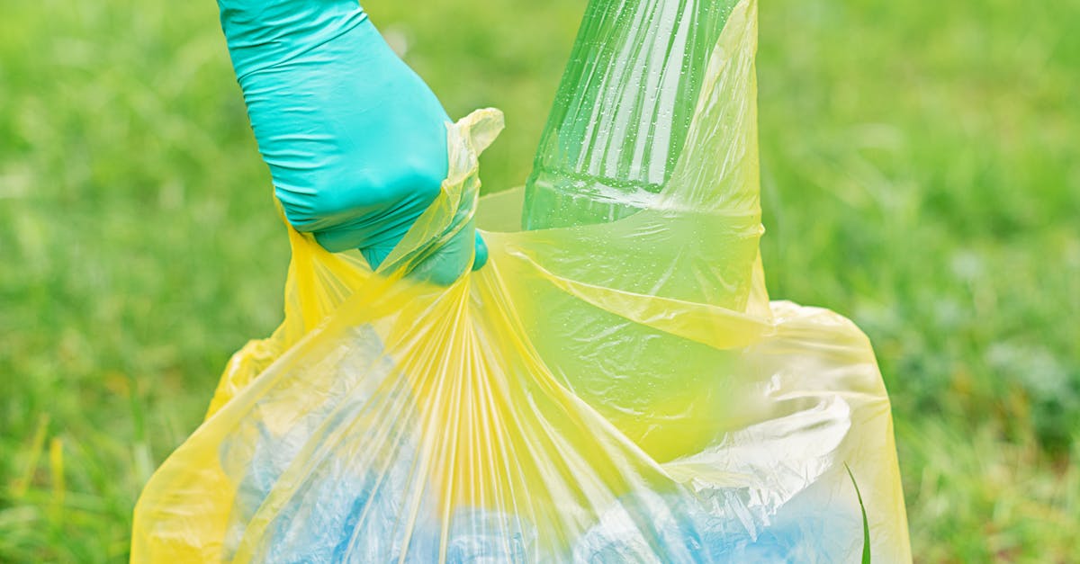 ¿Cómo funciona el voluntariado ambiental en Honduras sin caer en proyectos poco éticos? ¿Cómo funciona el voluntariado ambiental en Honduras sin caer en proyectos poco éticos?