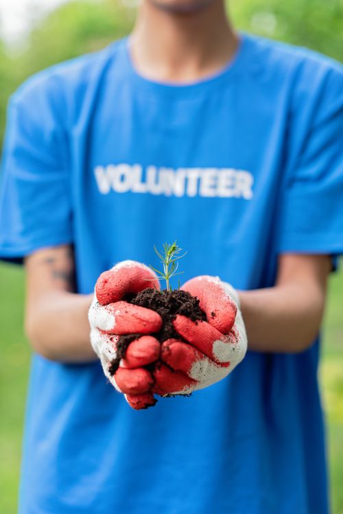 Free Close-up of a person holding a young plant in gloves, promoting environmental conservation. Stock Photo