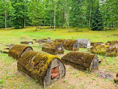 Grave Stones Covered in Moss 