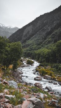 Image by Shahid Sultan