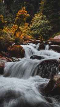 Image by Shahid Sultan