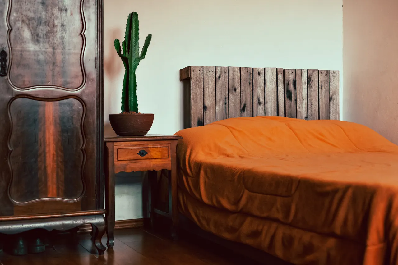 plant-on-nightstand Small cactus plant on a bedside table