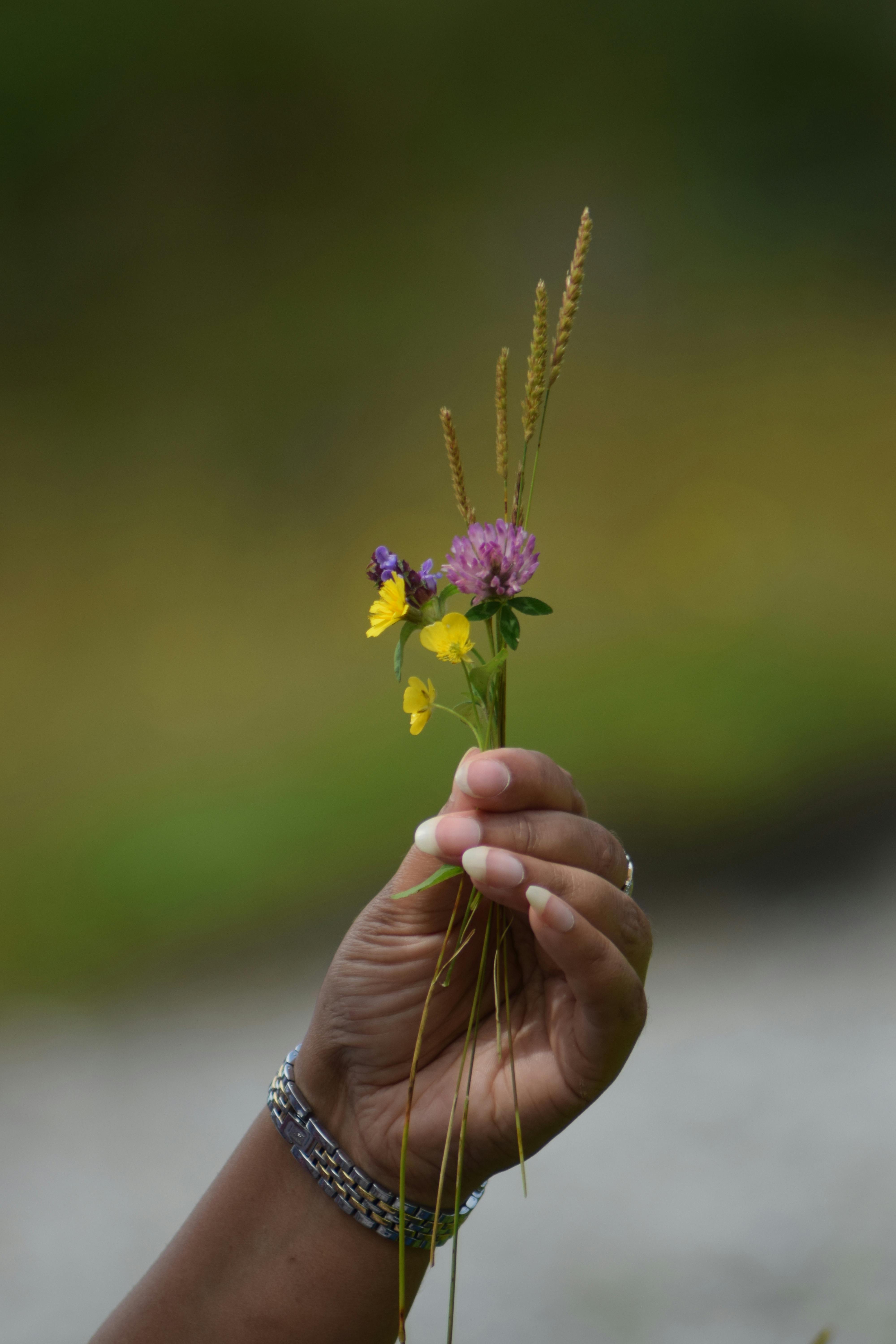 A hand delicately holds a bouquet of wildflowers with blurred natural background.
