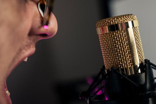 Close-up of a Condenser Microphone