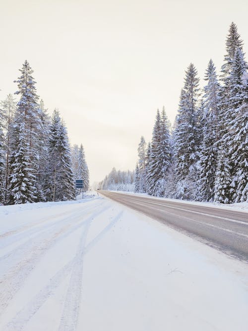 Empty Road Between Snow Covered Ground with Trees