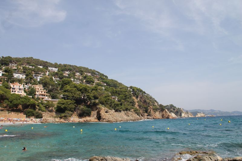 Quiet cove with clear water and greenery