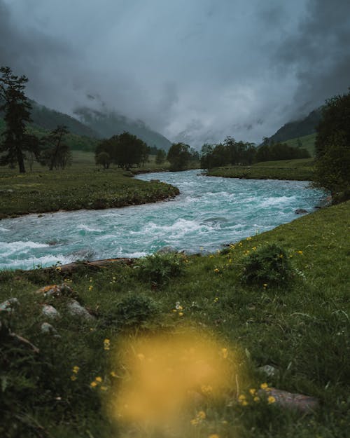 Immagine gratuita di fiume, grezzo, landa selvaggia