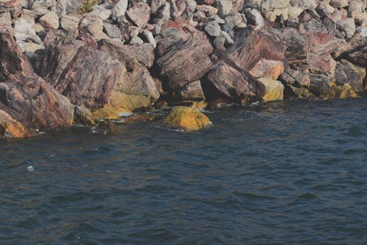 Mazatlan, Mexico photo 20