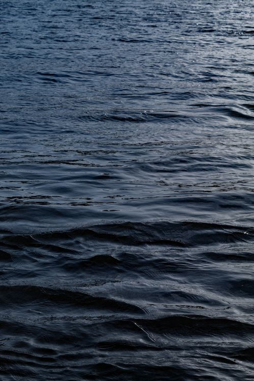 Free Calm ocean surface showcasing gentle waves and ripples under soft lighting. Stock Photo