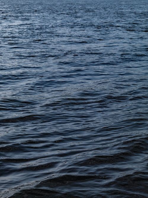 Free Calm water surface with gentle ripples under natural lighting creates a serene atmosphere. Stock Photo