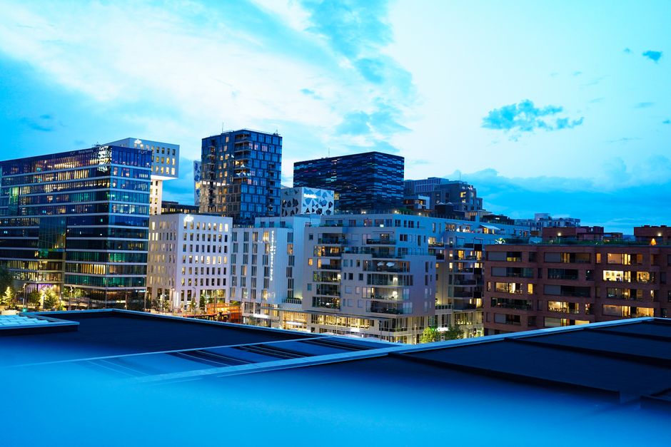 Oslo costs - Tropical city with palm trees and blue skies
