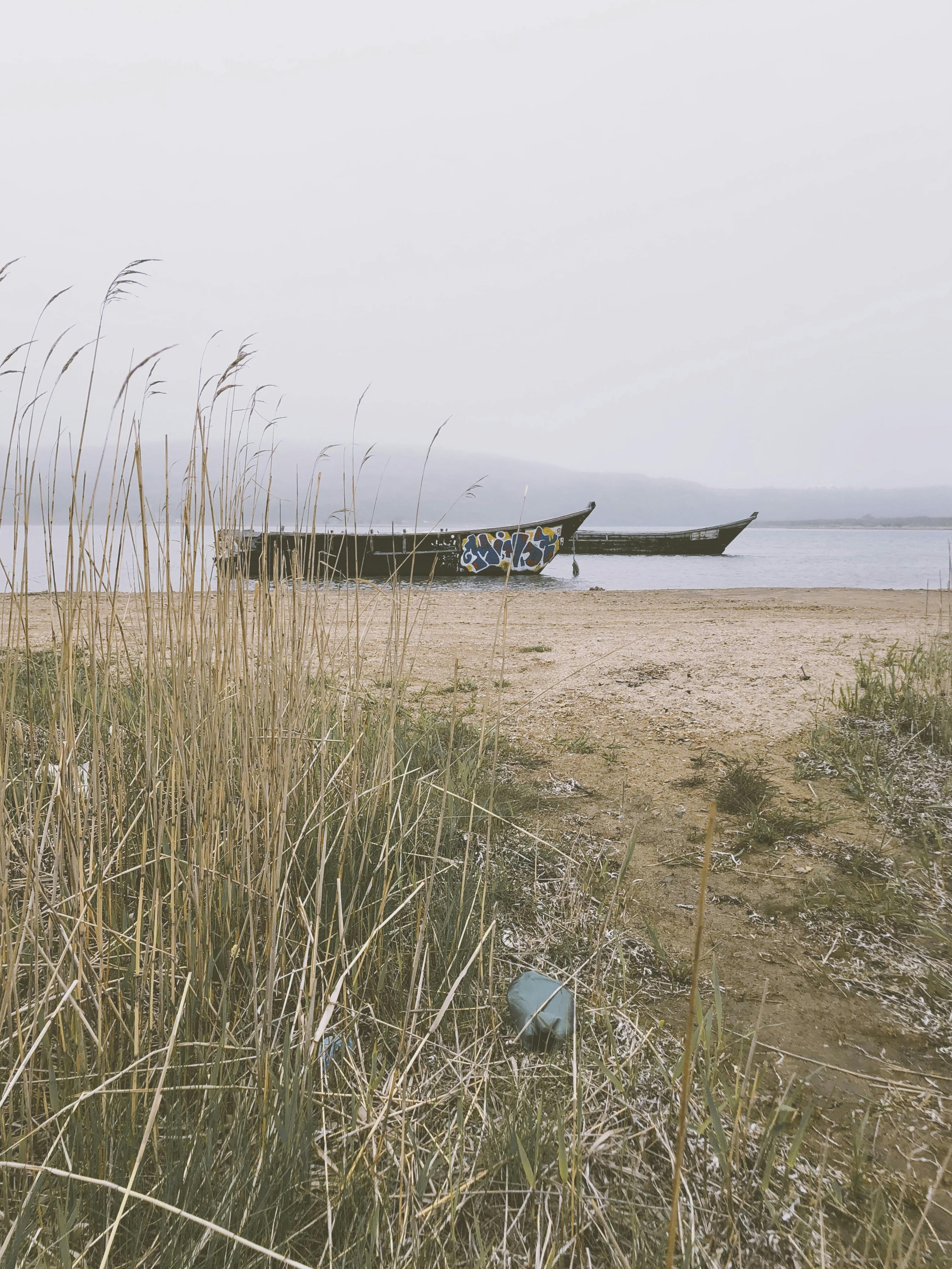 Sea kayakers near rocky island shoreline, morning mist