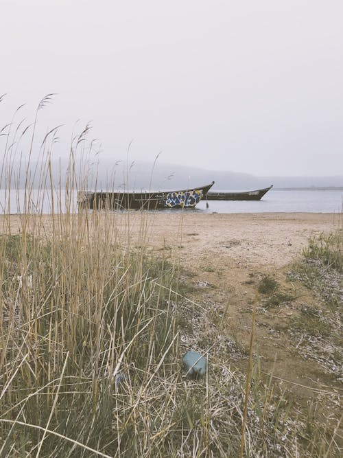 Kostenloses Stock Foto zu boote, dockt, draußen