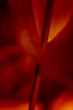 An intense abstract composition in warm red and orange tones, creating a mysterious and artistic visual statement.
