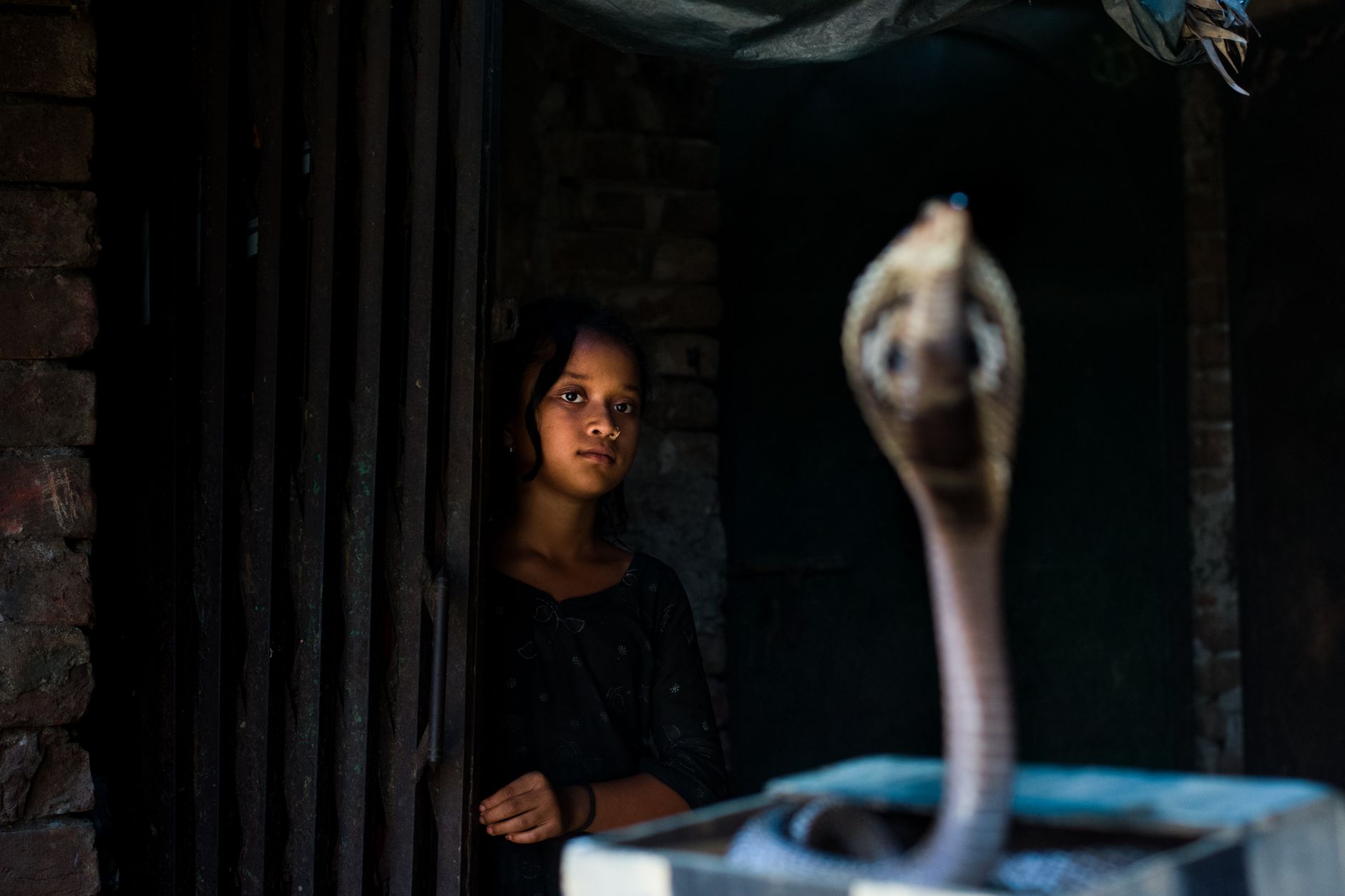 A girl looks at a cobra inside a building in Dhaka, Bangladesh, creating a vivid and tense moment.