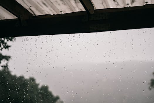 Close-up of raindrops on a roof with a blurry forest view, capturing a moody rainy day.