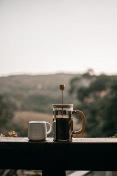 A peaceful morning coffee moment outdoors with a French press and mug.