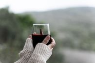 Hands holding a glass of red wine with a scenic blurred background, evoking a cozy outdoor moment.